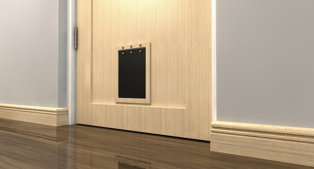 Cat Flap Installation Archway, N19