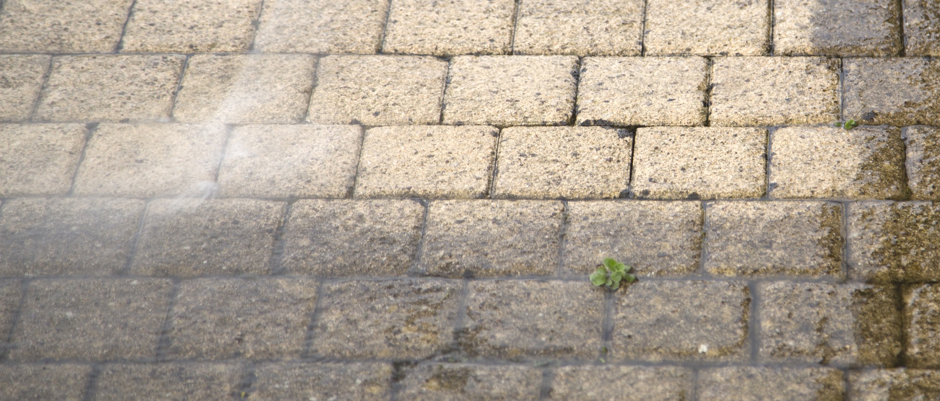 flagging and patios N19